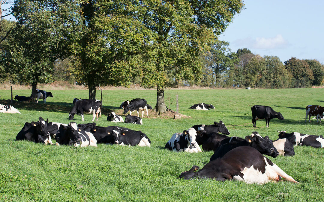 Vers une modèle d’agriculture raisonnée en Yvelines