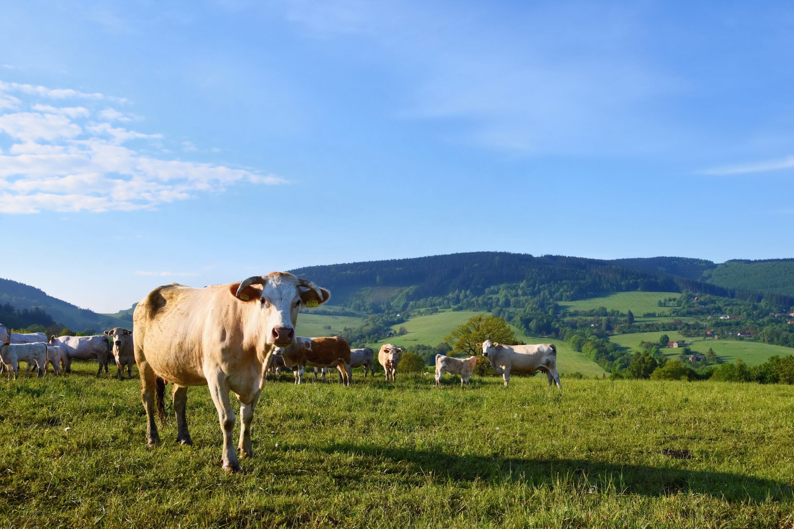 cooperative-carbone-verger-bio-audrieu