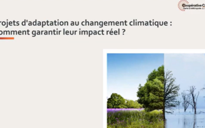 Webinaire – Projets d’adaptation au changement climatique : Comment garantir leur impact réel ?