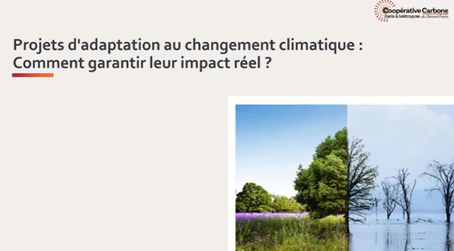 Webinaire – Projets d’adaptation au changement climatique : Comment garantir leur impact réel ?