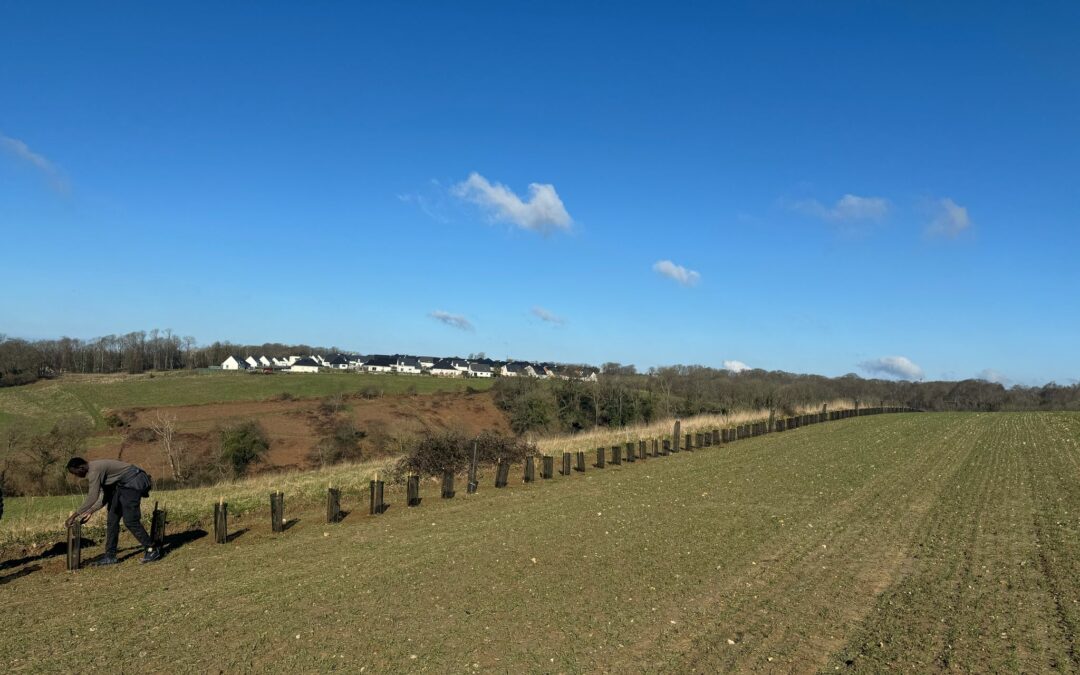 Offre de stage – Chargé(e) de projet  Carbone Agricole