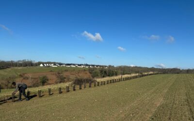 Offre de stage – Chargé(e) de projet Carbone Agricole