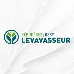 Pépinieres Ussy Levavasseur Logo
