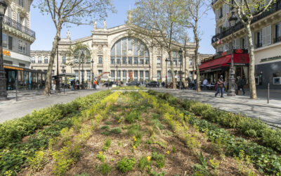 La Gare du Nord, cas d&rsquo;école pour la méthode Ville Arborée
